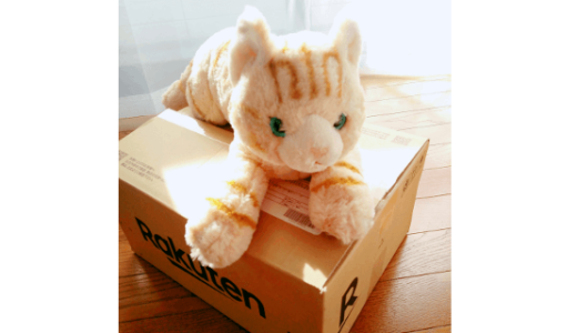 『ひざねこぬいぐるみ』が届きました