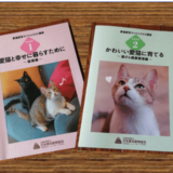 【愛猫飼育スペシャリスト】受講開始