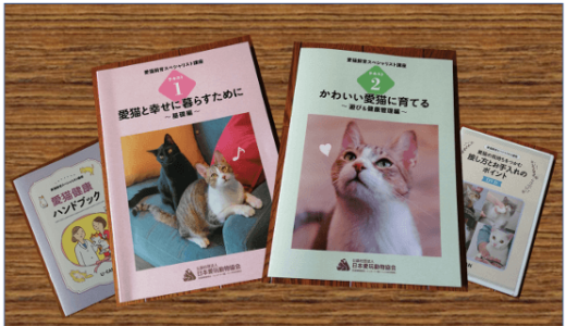 【愛猫飼育スペシャリスト】受講開始